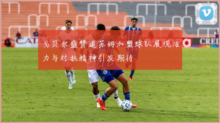 戈贝尔盛赞道苏姆加盟球队展现活力与对抗精神引发期待