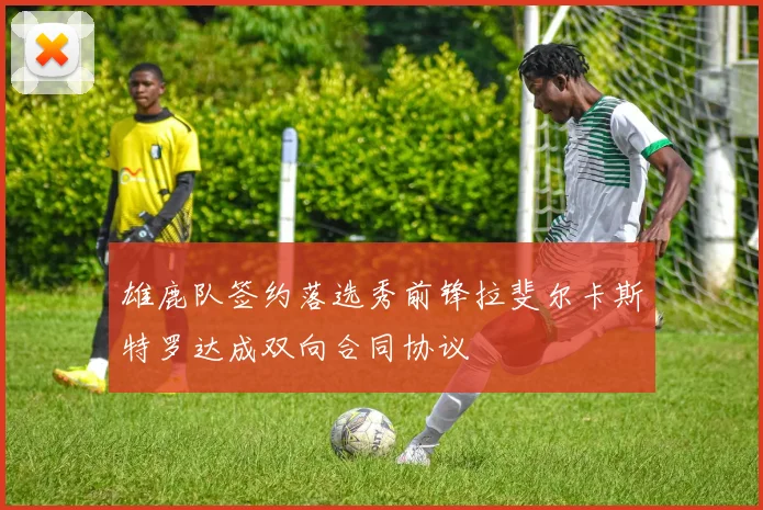 雄鹿队签约落选秀前锋拉斐尔卡斯特罗达成双向合同协议