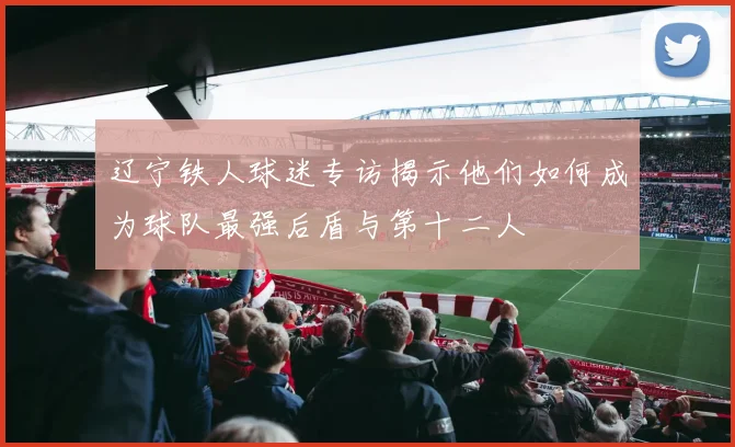 辽宁铁人球迷专访揭示他们如何成为球队最强后盾与第十二人